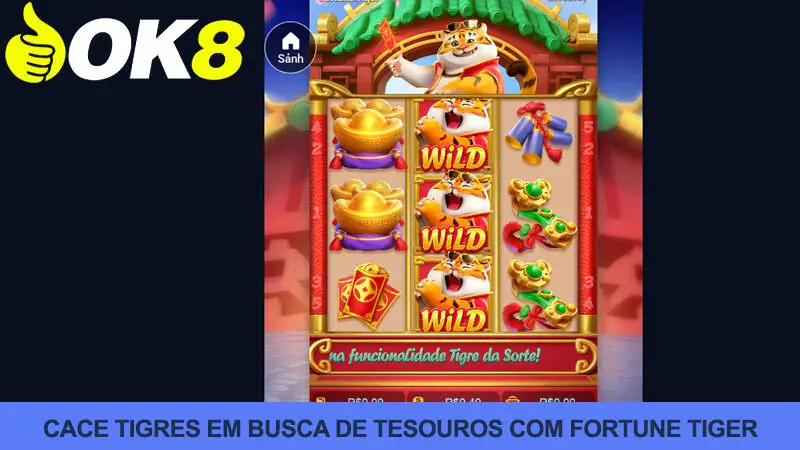 Enredo do jogo Fortune Tiger